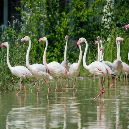 Vakantiehuis Eifel Countryside Comfort