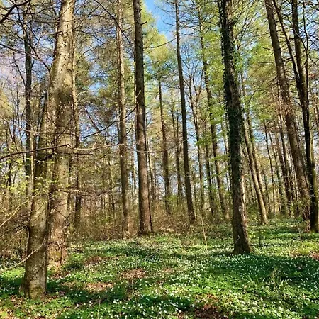 Vakantiehuis Eifel Countryside Comfort *