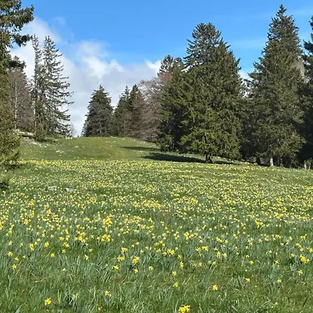 Eifel Countryside Comfort * Hallschlag