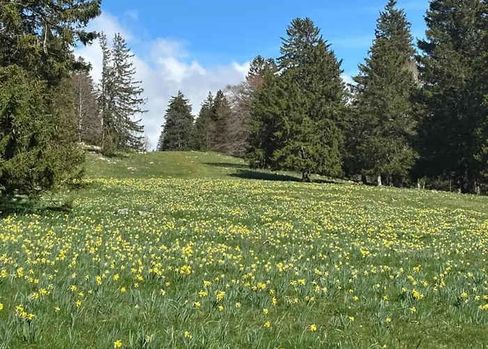 Eifel Countryside Comfort * Hallschlag